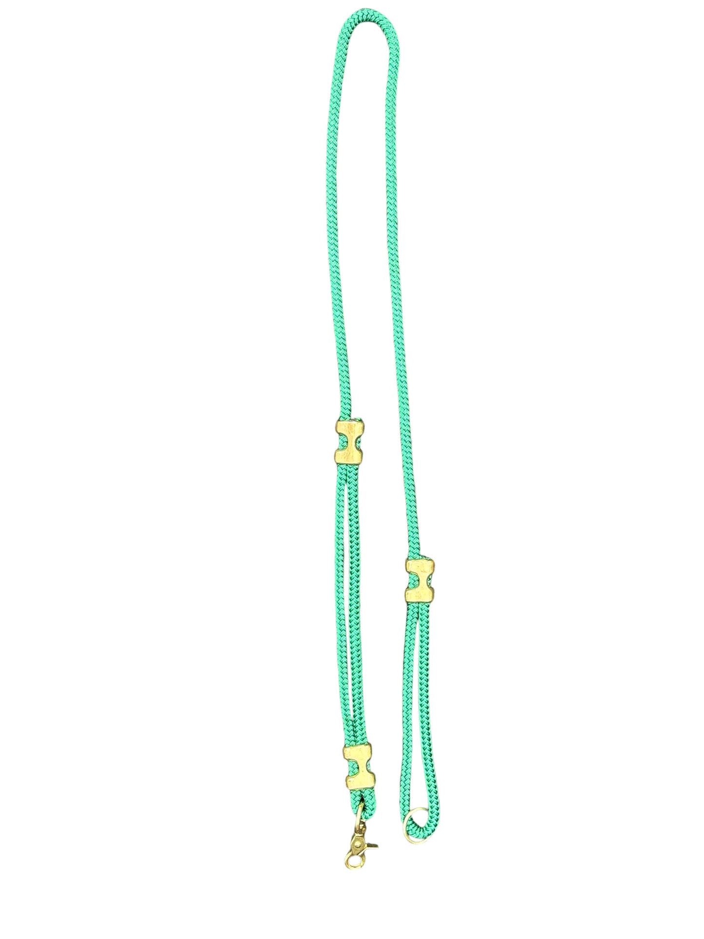 Canis Clip Lead - Brass - Hunter Green SS