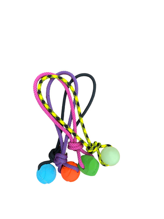 Canis Tug Toy