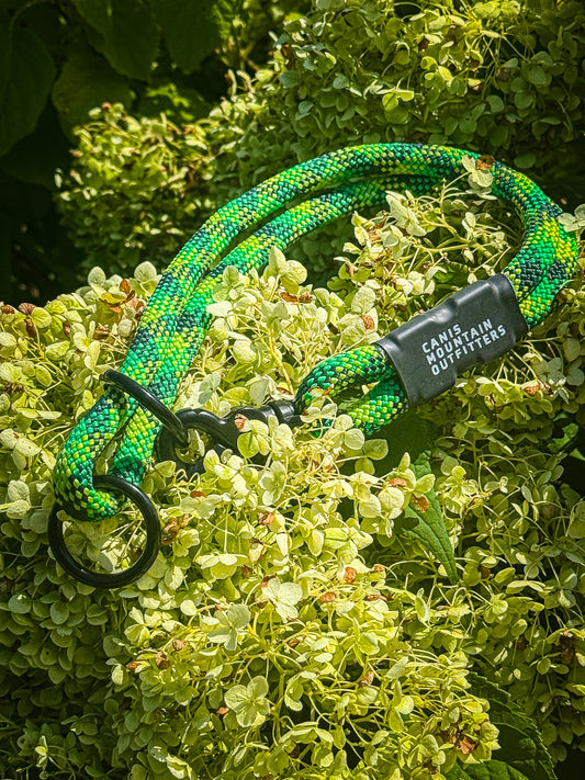 Canis Slip Collar - ES - Limited - Hulk Smash