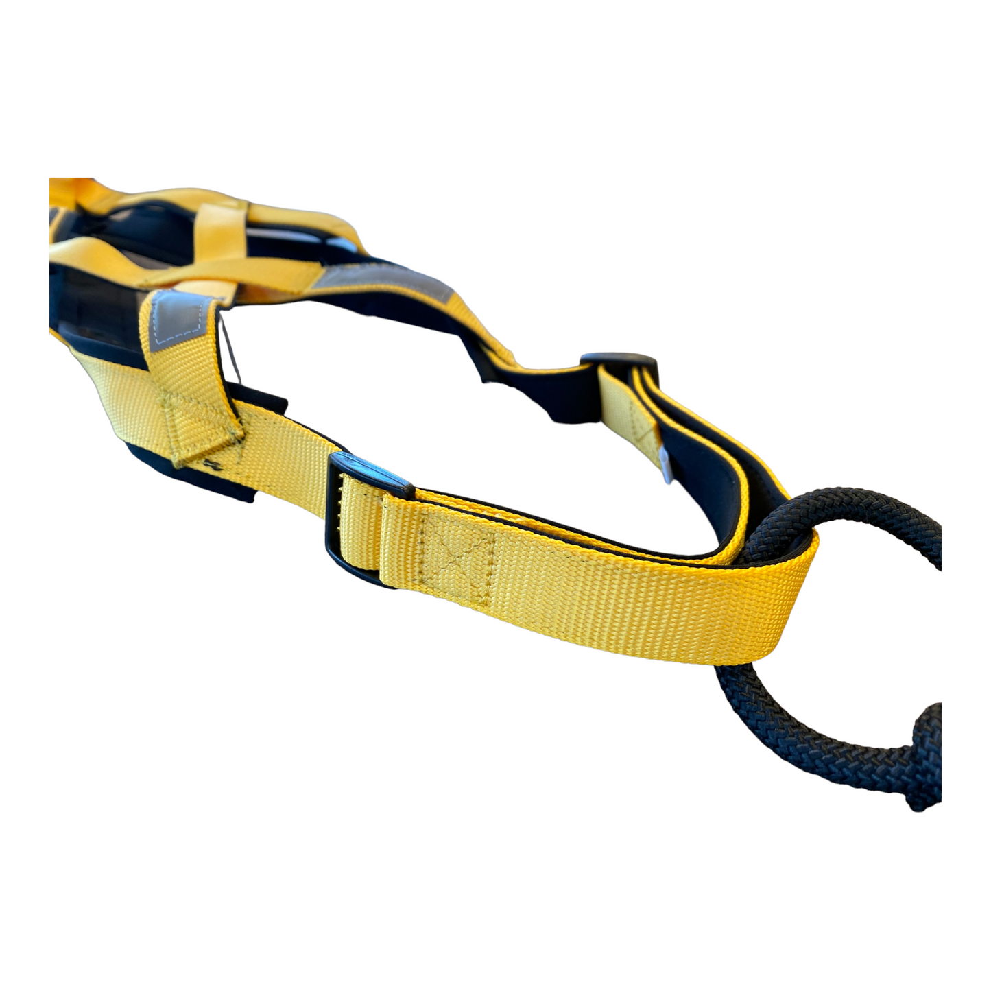 Canicross Harness