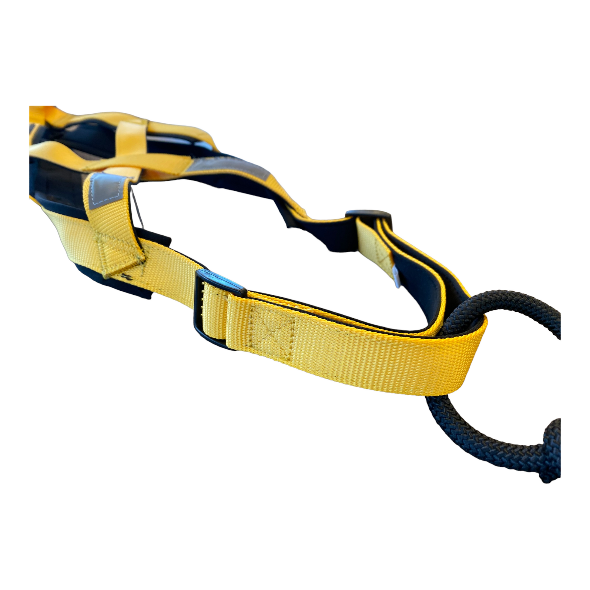 Canicross Harness – Canis Mountain Outfitters